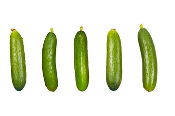 fresh tiny cucumber on transparent background png