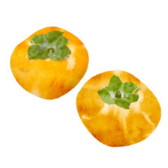 手書きの柿の装飾。水彩イラスト