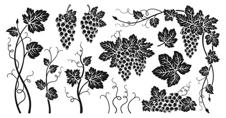 Grape bunches vine and leaves engraved set. Sketch ink hand drawn vintage outline wine grapes. Antique design berry. Sketches for wine packing, label, pattern, menu, invitation card, poster, cover © neliakott