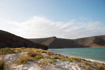 Fototapeta na wymiar Balandra beach landscape in Baja California, a sunny day between water, sand and mountains