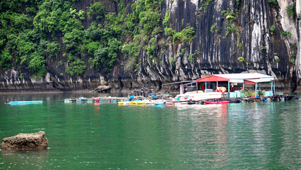 Obraz premium Cat Ba, Lan Ha Bay, Vietnam 