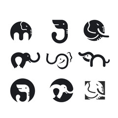 elephant  vector icon set  illustration concept design
