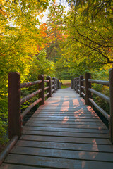 Fototapeta premium Autumn foliage and footpath bridge in Silver Falls State Park near Salem, Marion County, Oregon