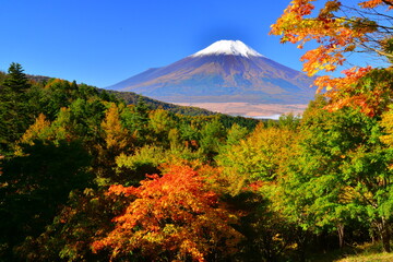 富士山と紅葉