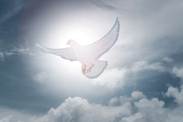 Doves fly in the sky. Christians have faith in Holy Spirit. silhouette worship to god with love...