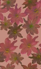 Fototapeta premium Coral seamless floral background pattern for textile printing 
