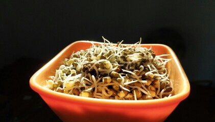 Bowl of moong sprouts 
