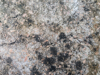 An old, expired marble floor image has cracks and texture mold stains.
