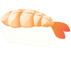 Ebi sushi shrimp sushi food, Japanese food vector