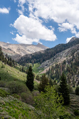 Fototapeta na wymiar Sawtooth Peak in Mineral King, California in Sequoia National Park 