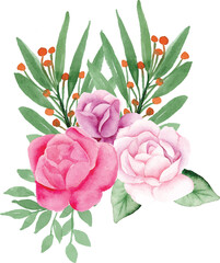 Hydrangea Watercolor