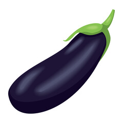 fresh eggplant vegetable