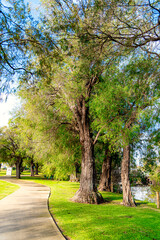 The Busselton Foreshore consists of Clubs, Restaurants, playgrounds and large trees.