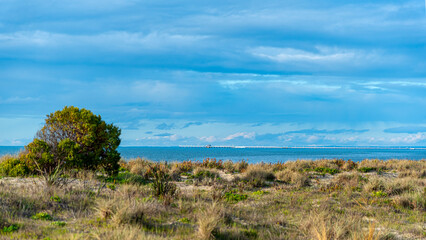 The Busselton Foreshore offers a stretch of white sandy beach, a swimming spot all to yourself and dolphins swimming up and down the bay.