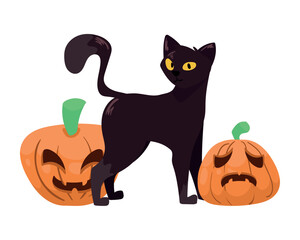 halloween cat with pumpkins