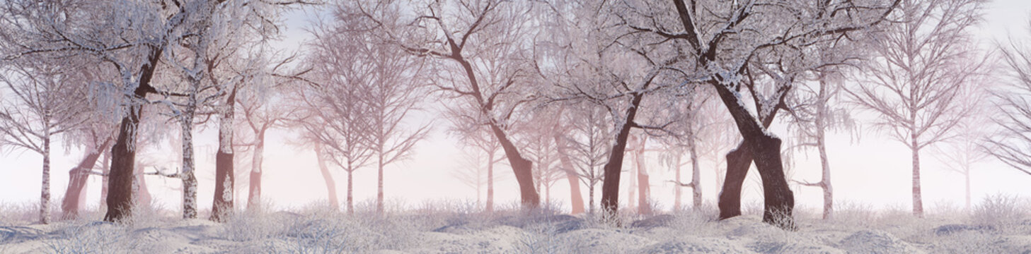 Snow covered Trees create a Beautiful Winter Woodland Banner. Seasonal Concept.