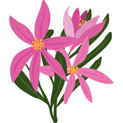 Hand drawn pink flower floral elements, vector design,