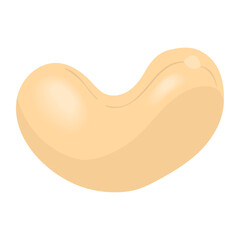 cashew seed organic product