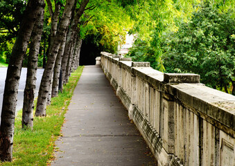 gray asphalt sidewalk in diminishing perspective. trees along the side with lush green leaves and foliage. old grunge stone balustrade on one side. bright summer lights. uphill. parks and outdoor. - Powered by Adobe