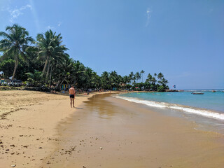 Hikkaduwa, Sri Lanka - March 8, 2022: Beautiful view of the beach in Hikkaduwa with green palm trees. People relax, sunbathe and swim in the Indian Ocean