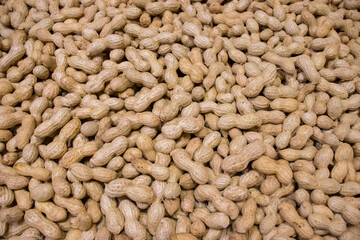 Raw peanuts background, Fall harvest, Healthy food.