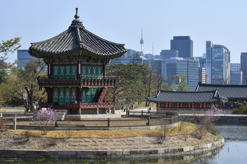 서울, 경복궁의 봄