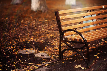 Autumn park bench, rainy texture background. Rain in autumn park, drops of water, wind.