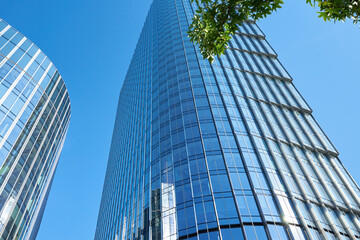 Obraz premium Modern city architecture, Skyscraper glass facade with green tree, Business administrative building