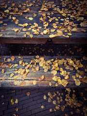 golden leafs on wood