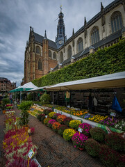 Bavo Church in Haarlem