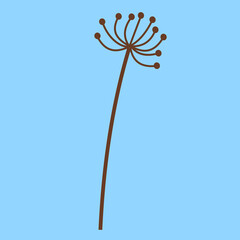 Dried dill stalk, illustration, vector