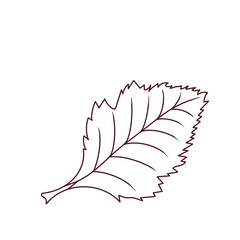 Leaves Icon