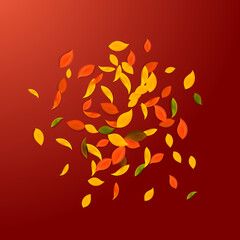 Falling autumn leaves. Red, yellow, green, brown c