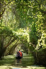 A group of tourists and local guide paddle a canoe along a beautiful canal with overhanging trees and vines in the Mekong Delta, Vietnam on a sunny day. Portrait format