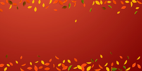 Falling autumn leaves. Red, yellow, green, brown c