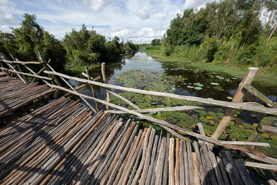 view from wooden bridge made from mangrove wood over a canal or small river in the Mekong delta, Vietnam on  a sunny day