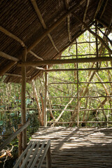 Interior vertical view looking out of traditional mangrove wood shelter in Mekong delta forest, Vietnam