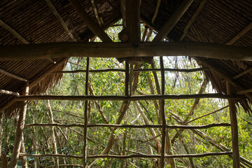 Interior horizontal view looking out of traditional mangrove wood shelter in Mekong delta forest, Vietnam