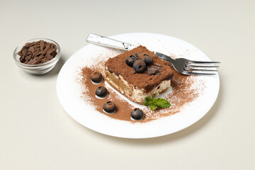 Concept of sweet food, tasty Tiramisu cake