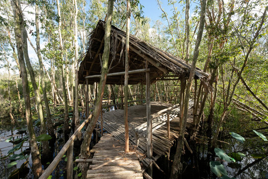 Front view of traditional mangrove wood shelter in Mekong delta forest, Vietnam