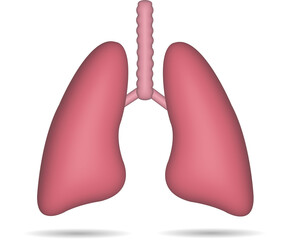 3D Realistic Lung icon isolated from white background.