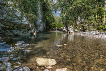 Canyon in the mountains of Abkhazia in summer.