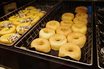 Tray of sugar topped donuts in bakery