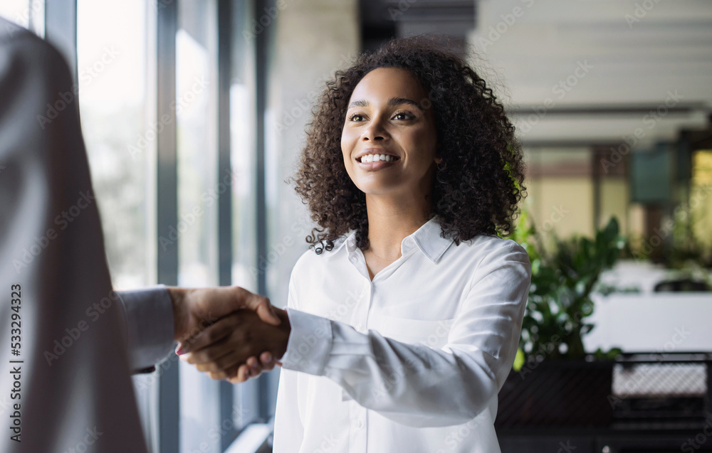 Wall mural partnership handshake in modern creative office, business people shaking hands while working, succes