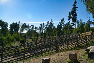 Walk in sweden smalland on a path by the ancient wooden fence. Forest, meadow, sky