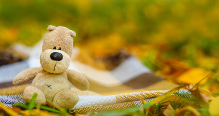 Lonely teddy bear sitting on a brown plaid lying on fallen yellow leaves in an autumn park