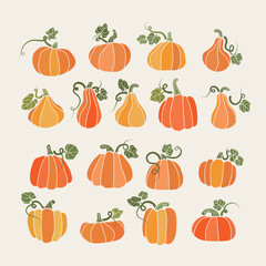 Vector set of pumpkins in various shapes.   Elements for autumn decorative design with Thanksgiving and Halloween Elements.