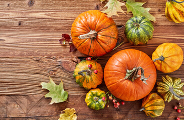 Multi-colored pumpkins