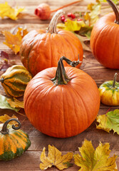 Pumpkins and leaves arrangement