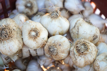 close-up pile of garlic background